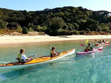 Kayak Cruises